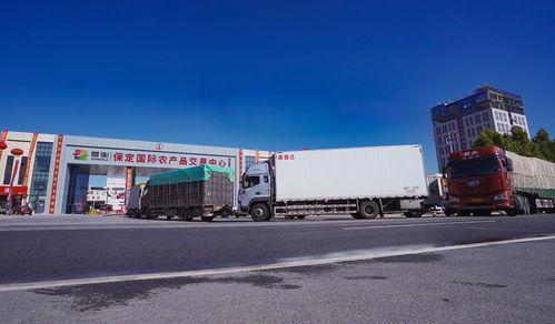 保定國際農(nóng)產(chǎn)品交易中心為區(qū)域民生保供提供有力支撐