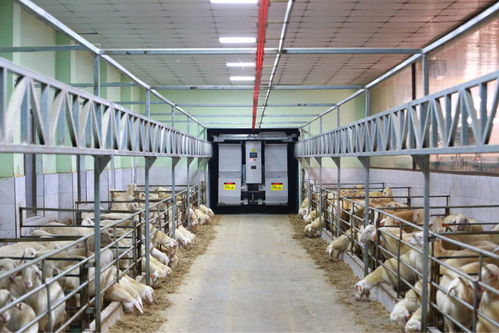 農業(yè)“雙強”行動結碩果，浙江農業(yè)生產更高效，集裝箱租賃助力產業(yè)升級