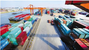 浙江日?qǐng)?bào) 集裝箱購銷市場(chǎng)分析與未來展望