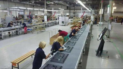 成都青白江 以開(kāi)放產(chǎn)業(yè)為核心，推動(dòng)集裝箱購(gòu)銷(xiāo)高質(zhì)量發(fā)展